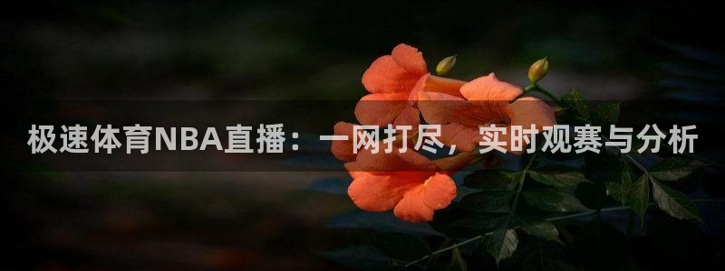 乐球直播高清在线直播：极速体育NBA直播：一网打尽，实时观赛与分析