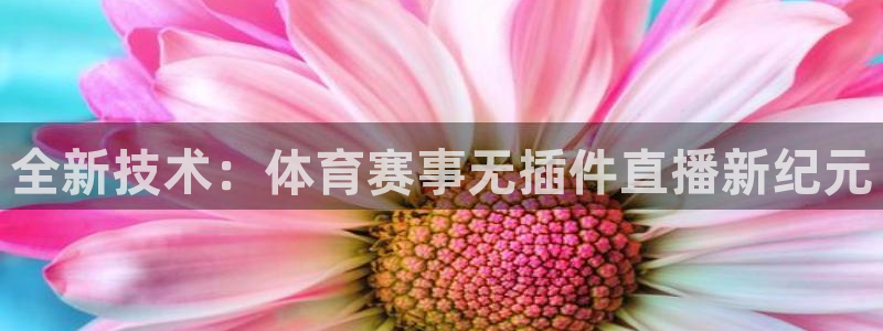 cba乐球直播(无插件)：全新技术：体育赛事无插件直播新纪元