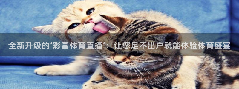 乐球直播最新版：全新升级的‘彩富体育直播’：让您足不出户就能体验体育盛宴