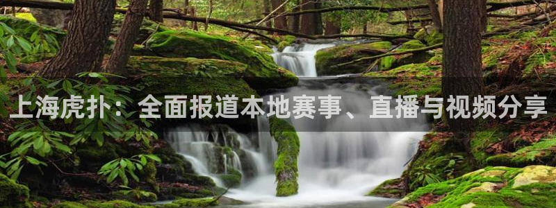 nba乐球直播免费观看直播在线：上海虎扑：全面报道本地赛事、直播与视频分享