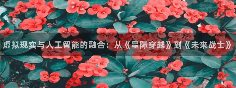 乐球直播cba：虚拟现实与人工智能的融合：从《星际穿越》到《未来战士》