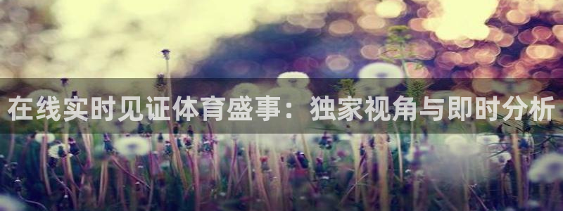 乐球直播网站在线观看：在线实时见证体育盛事：独家视角与即时分析