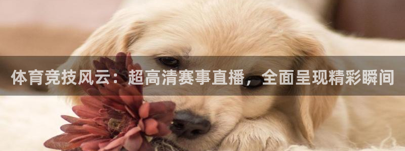 乐球直播app在线直播：体育竞技风云：超高清赛事直播，全面呈现精彩瞬间