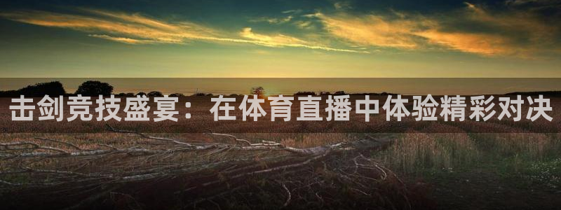 乐球直播jrs无插件看nba：击剑竞技盛宴：在体育直播中体验精彩对决