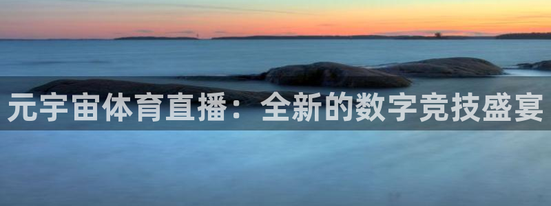 乐球直播全球赛事免费高清：元宇宙体育直播：全新的数字竞技盛宴