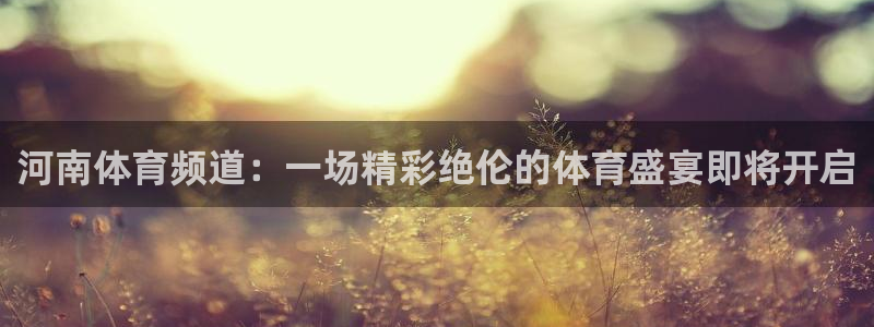 nba乐球直播免费观看直播在线：河南体育频道：一场精彩绝伦的体育盛宴即将开启