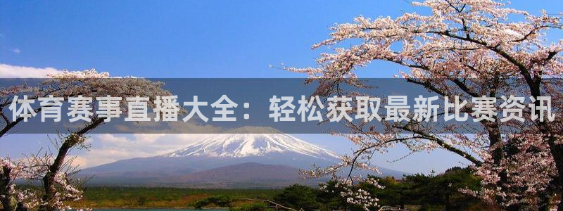 乐球直播吧：体育赛事直播大全：轻松获取最新比赛资讯