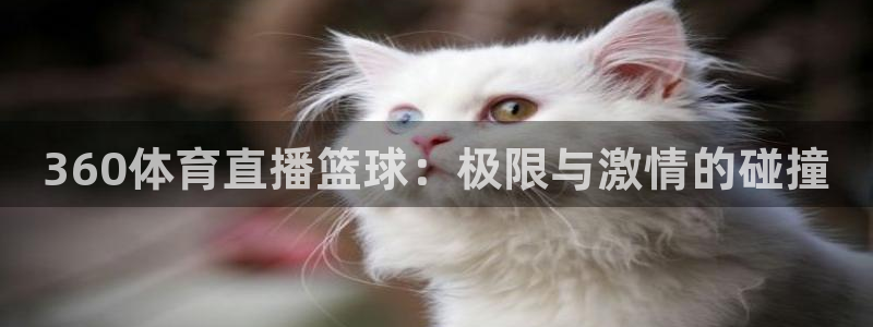 乐球直播无插件高清看球直播：360体育直播篮球：极限与激情的碰撞