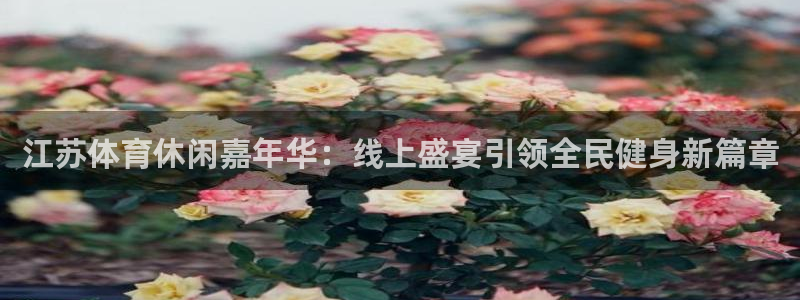 乐球直播(免费版)：江苏体育休闲嘉年华：线上盛宴引领全民健身新篇章