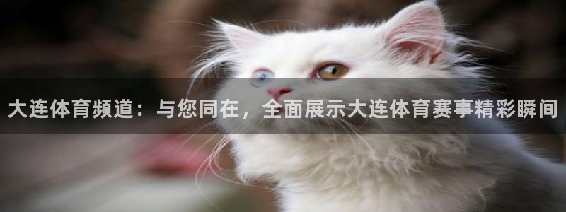 乐球直播下载地址：大连体育频道：与您同在，全面展示大连体育赛事精彩瞬间