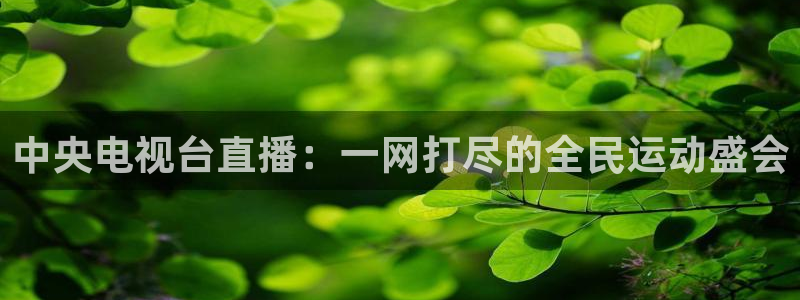 乐球直播球探官网：中央电视台直播：一网打尽的全民运动盛会